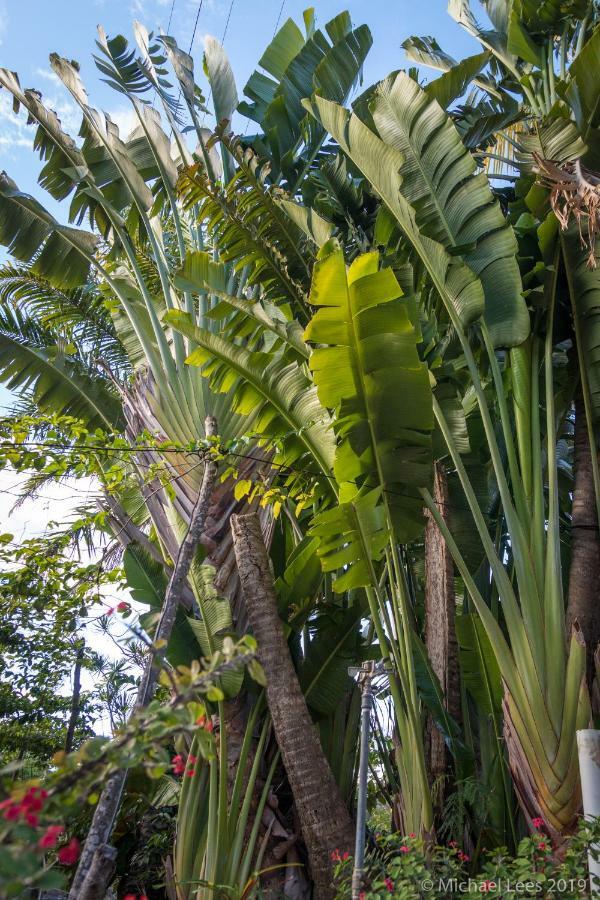Sunset Bay Club & Seaside Dive Resort Salisbury Bagian luar foto